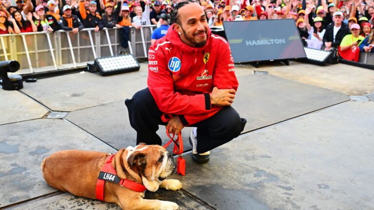 Lewis Hamilton Berikan Update Kesehatan Anjing Roscoe
